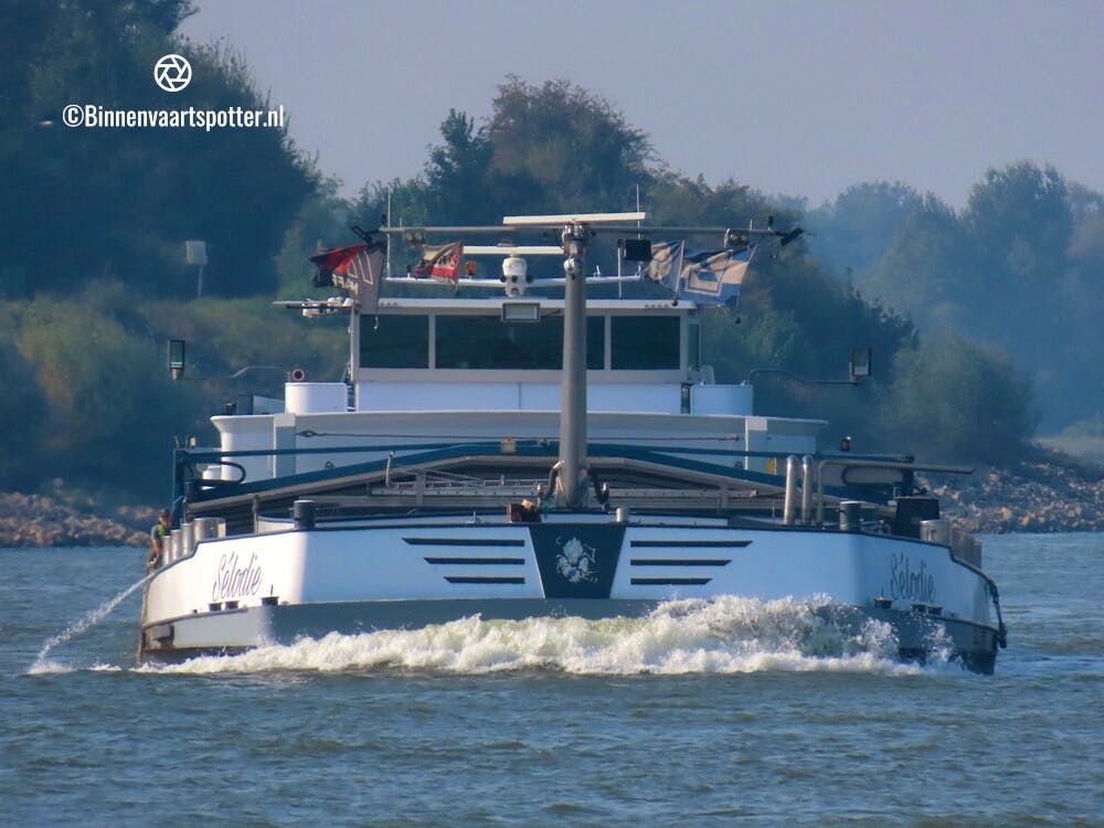 Selodie — thumbnail 3